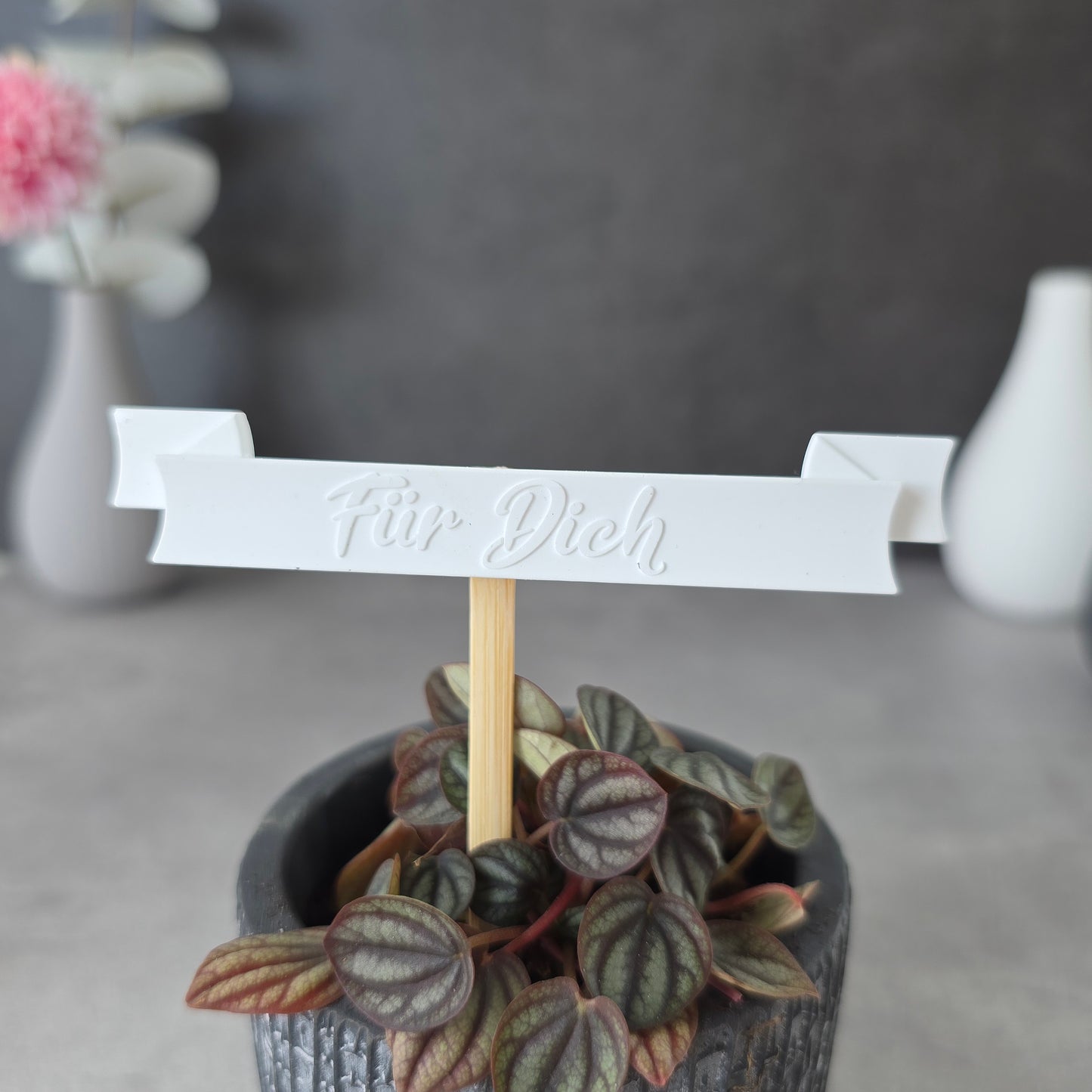 Mini Banner