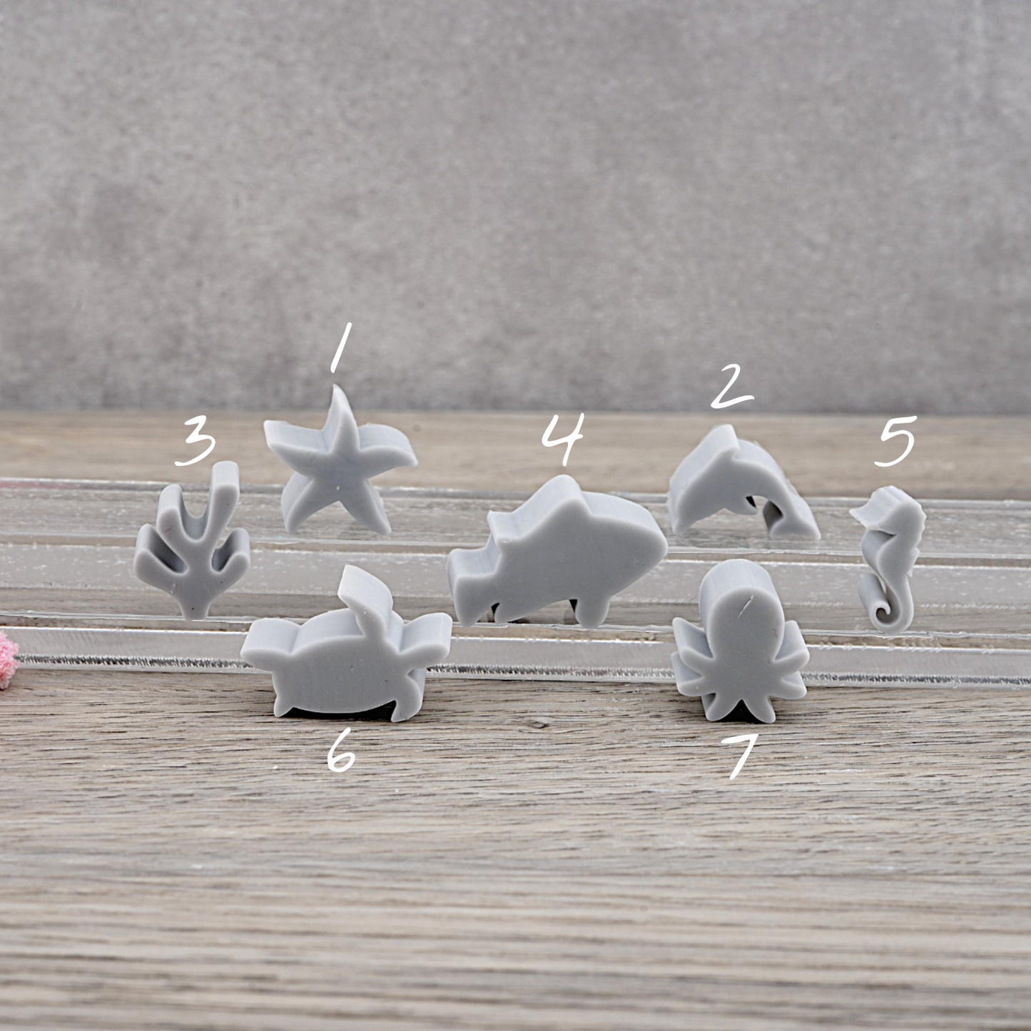 Platzhalter Unterwasser