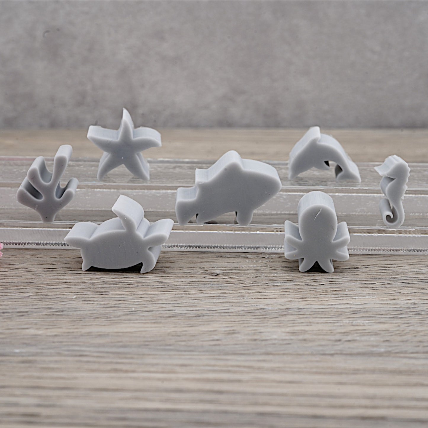 Platzhalter Unterwasser