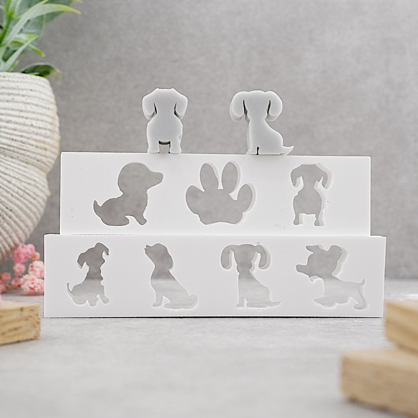 Platzhalter · Hunde