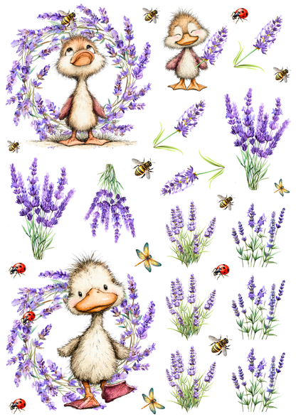 Rub On randlos •Lavendel• A5 Bogen