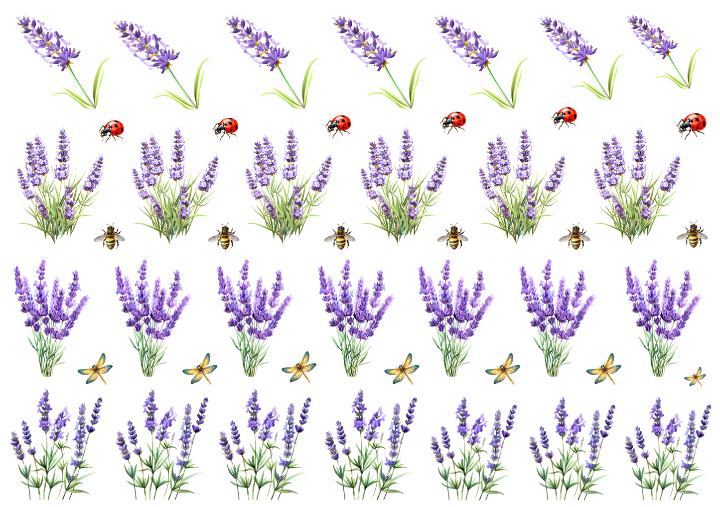 Rub On randlos •Lavendel pur• A5 Bogen