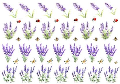 Rub On randlos •Lavendel pur• A5 Bogen